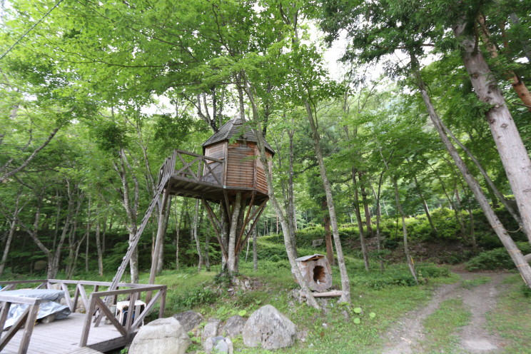 ツリーハウス