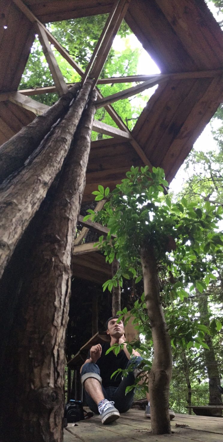 ツリーハウス