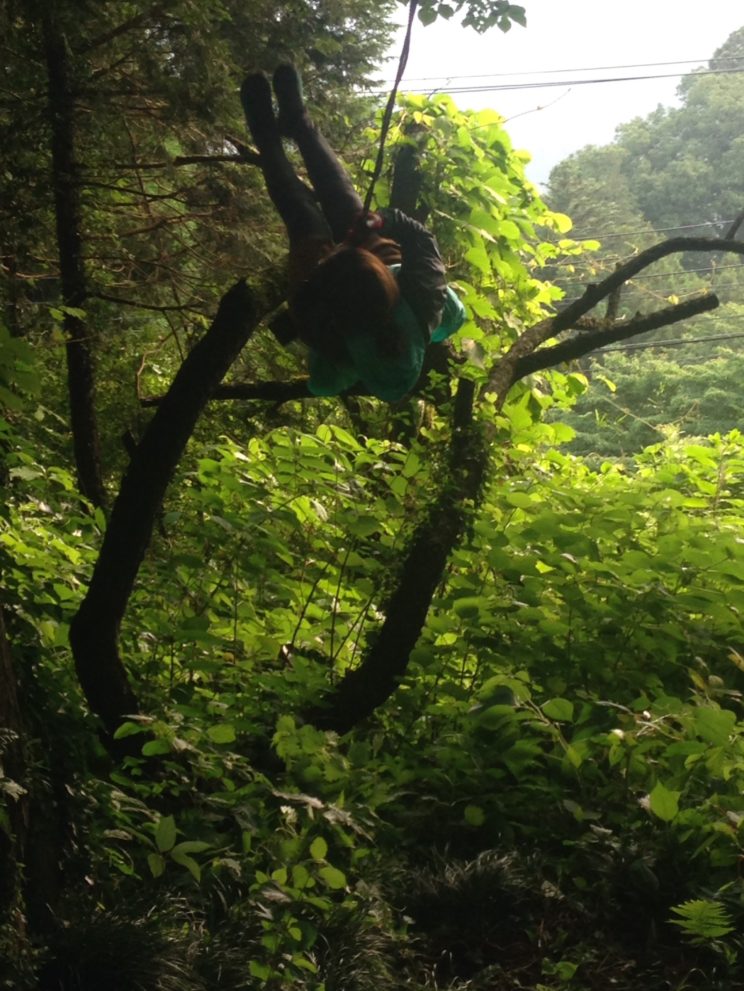 ツリーハウス７月２・３日