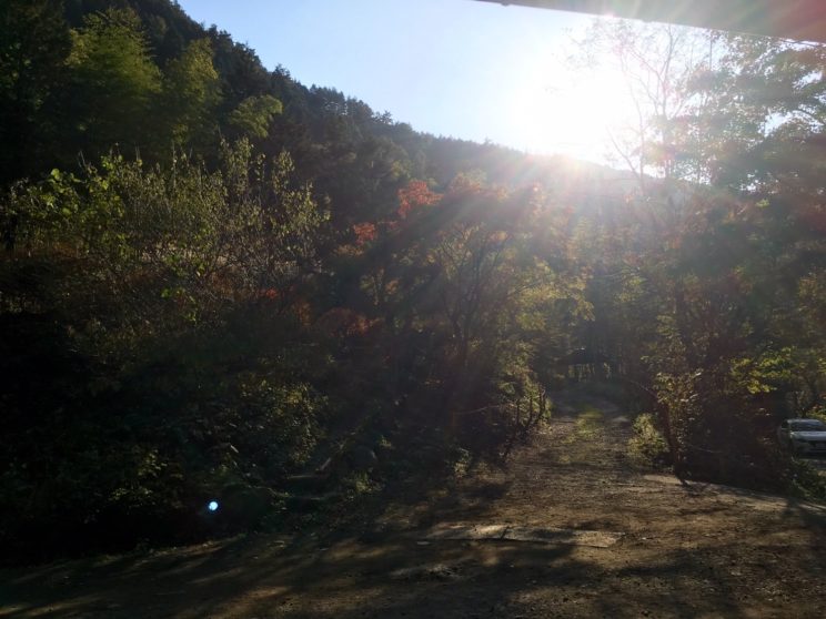 多国籍料理キャンプ